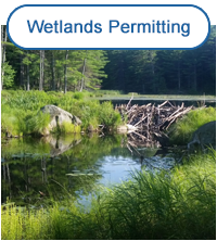 Wetlands Permitting